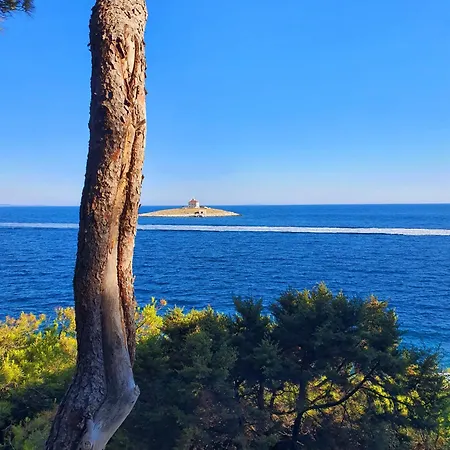 Apartman Violeta Hvar Hvar Town