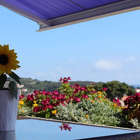 Violeta Hvar Apartman *