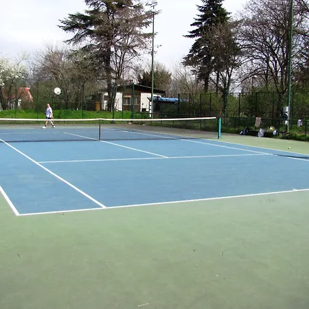 Violeta Hvar * Hvar Town