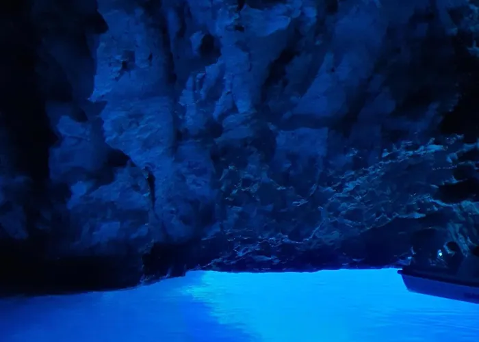 ヴィオレッタ フヴァル