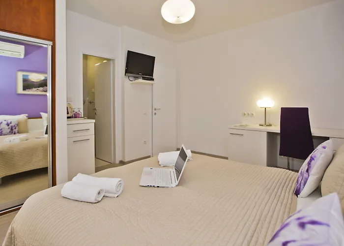 ヴィオレッタ フヴァル