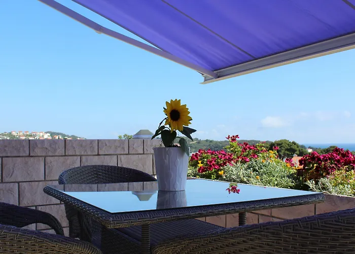 ヴィオレッタ *