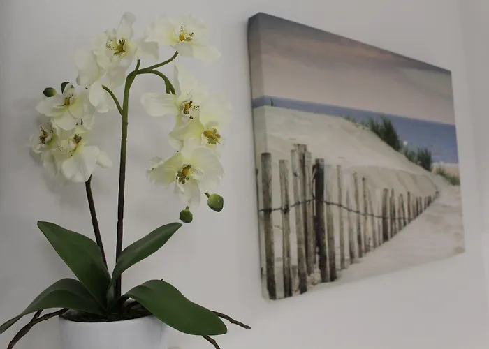 ヴィオレッタ *