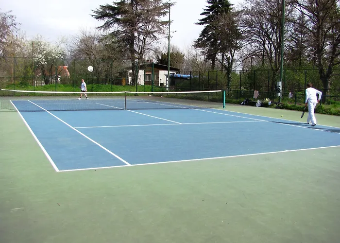 ヴィオレッタ * フヴァル