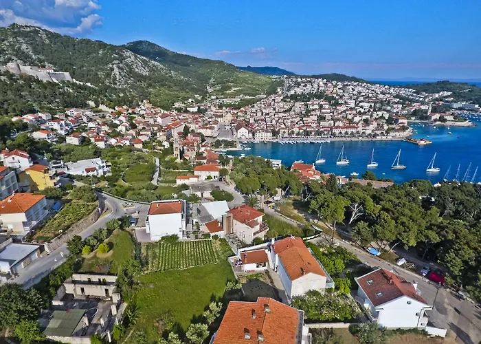 ヴィオレッタ フヴァル