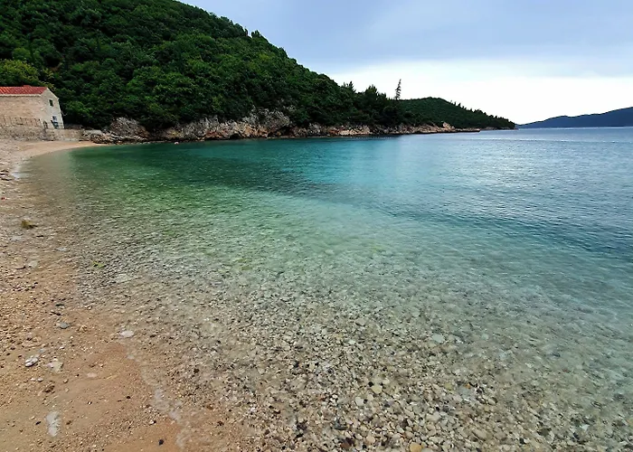 ヴィオレッタ *