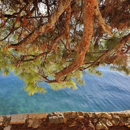 Violeta Hvar Appartamento Hvar Town