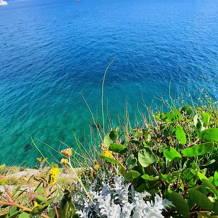 Appartamento Violeta Hvar