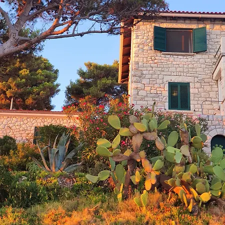 Appartamento Violeta Hvar Hvar Town