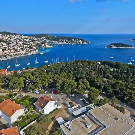 Violeta Hvar Хвар